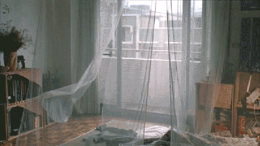 17375982279879.gif 640.gif