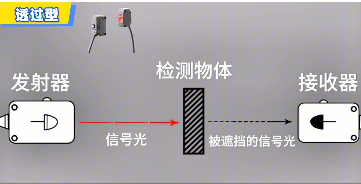 17591439216071.jpg 微信图片_20250711165900.jpg